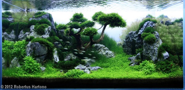 Robertus Hartono (Singapur)